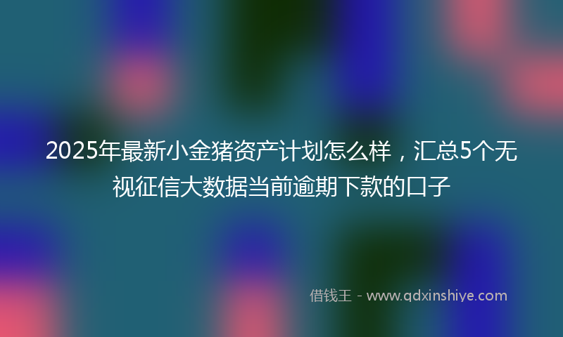 2025年最新小金猪资产计划怎么样，汇总5个无视征信大数据当前逾期下款的口子