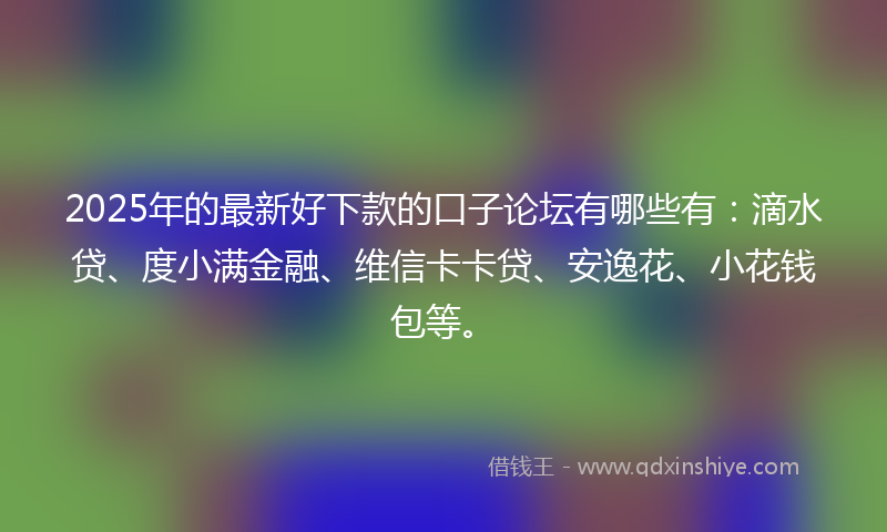 2025年的最新好下款的口子论坛有哪些有：滴水贷、度小满金融、维信卡卡贷、安逸花、小花钱包等。