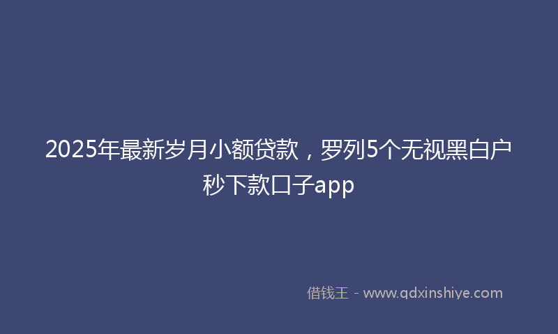 2025年最新岁月小额贷款，罗列5个无视黑白户秒下款口子app