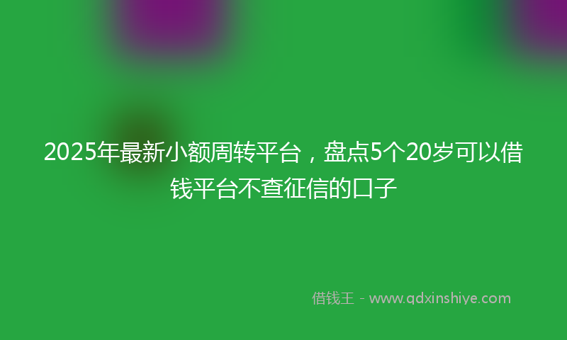 2025年最新小额周转平台，盘点5个20岁可以借钱平台不查征信的口子