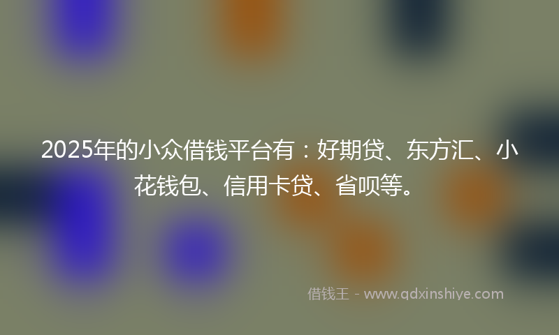 2025年的小众借钱平台有：好期贷、东方汇、小花钱包、信用卡贷、省呗等。