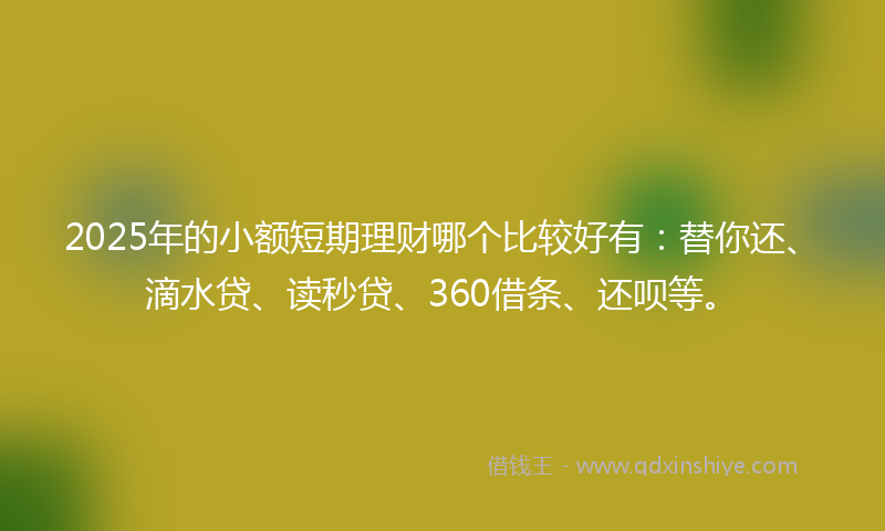 2025年的小额短期理财哪个比较好有：替你还、滴水贷、读秒贷、360借条、还呗等。