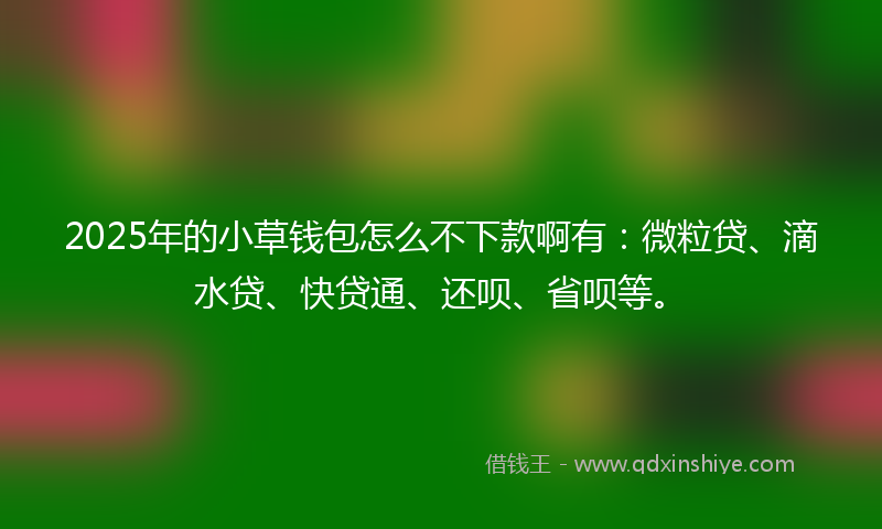 2025年的小草钱包怎么不下款啊有：微粒贷、滴水贷、快贷通、还呗、省呗等。