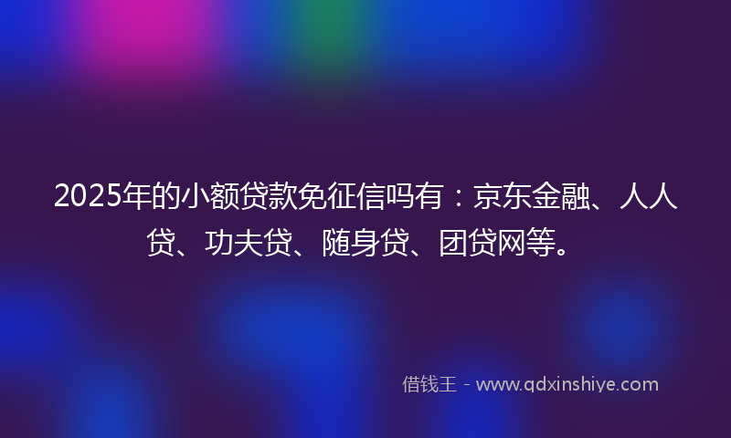 2025年的小额贷款免征信吗有：京东金融、人人贷、功夫贷、随身贷、团贷网等。