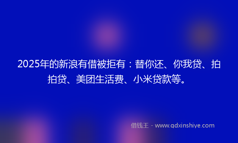 2025年的新浪有借被拒有：替你还、你我贷、拍拍贷、美团生活费、小米贷款等。