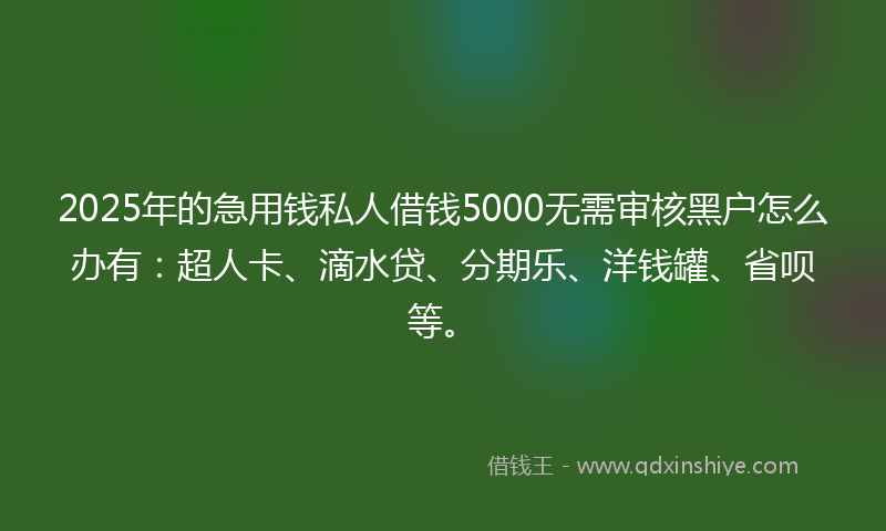 2025年的急用钱私人借钱5000无需审核黑户怎么办有：超人卡、滴水贷、分期乐、洋钱罐、省呗等。