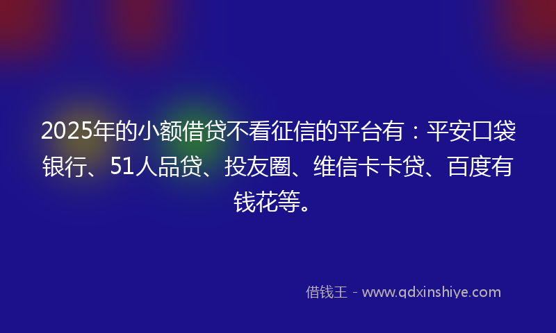 2025年的小额借贷不看征信的平台有：平安口袋银行、51人品贷、投友圈、维信卡卡贷、百度有钱花等。