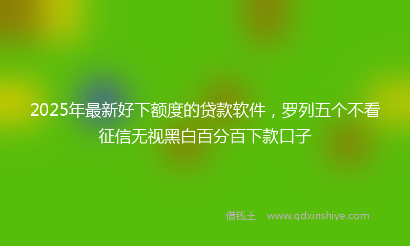 2025年最新好下额度的贷款软件，罗列五个不看征信无视黑白百分百下款口子