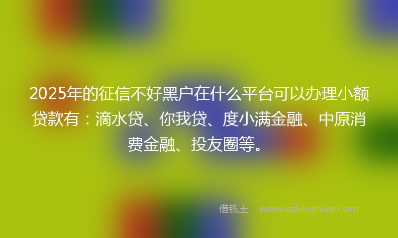 2025年的征信不好黑户在什么平台可以办理小额贷款有：滴水贷、你我贷、度小满金融、中原消费金融、投友圈等。