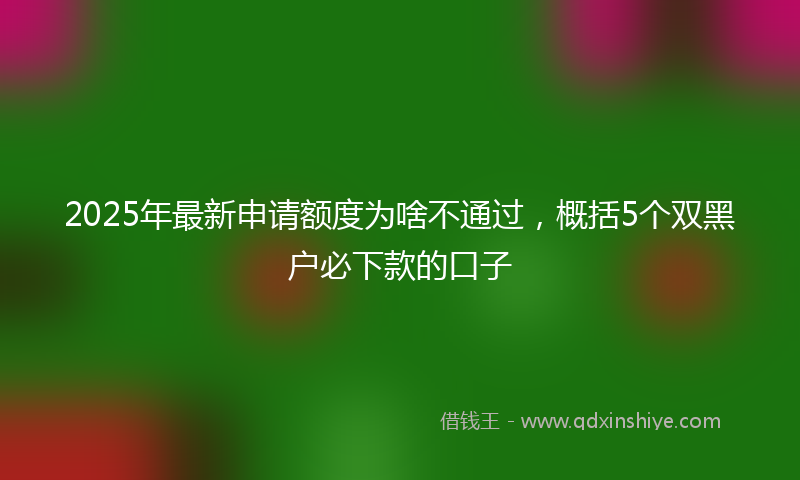 2025年最新申请额度为啥不通过，概括5个双黑户必下款的口子
