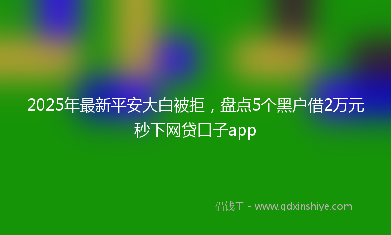 2025年最新平安大白被拒，盘点5个黑户借2万元秒下网贷口子app