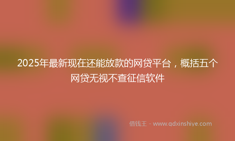 2025年最新现在还能放款的网贷平台，概括五个网贷无视不查征信软件