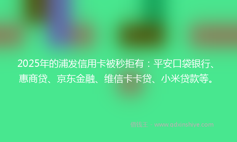 2025年的浦发信用卡被秒拒有：平安口袋银行、惠商贷、京东金融、维信卡卡贷、小米贷款等。