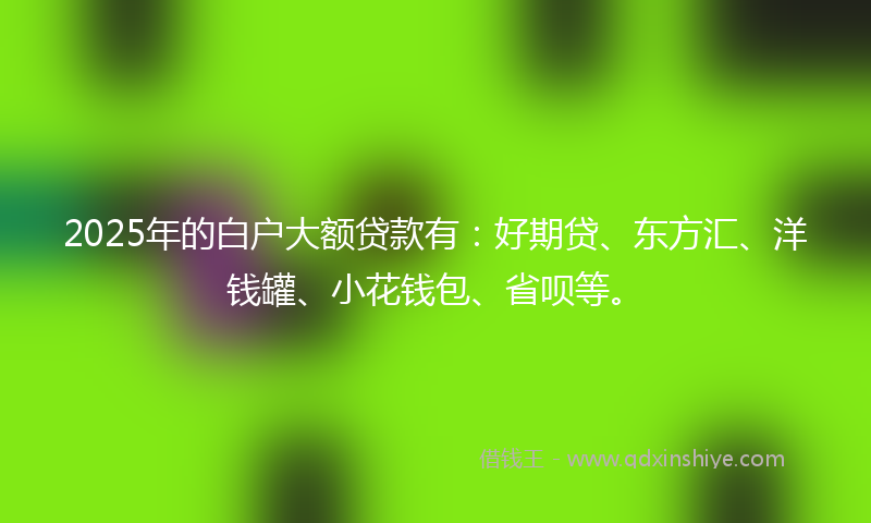 2025年的白户大额贷款有：好期贷、东方汇、洋钱罐、小花钱包、省呗等。