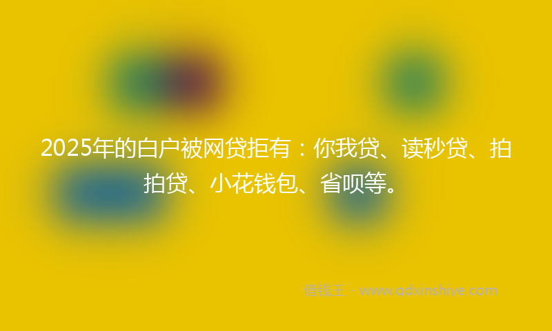 2025年的白户被网贷拒有：你我贷、读秒贷、拍拍贷、小花钱包、省呗等。