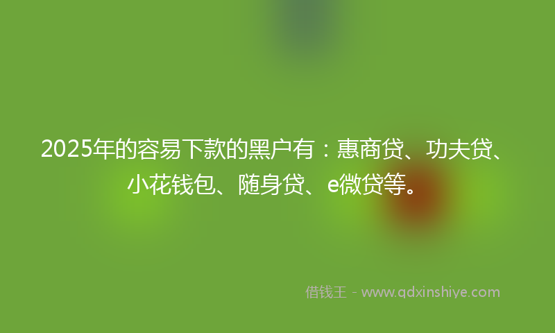 2025年的容易下款的黑户有：惠商贷、功夫贷、小花钱包、随身贷、e微贷等。
