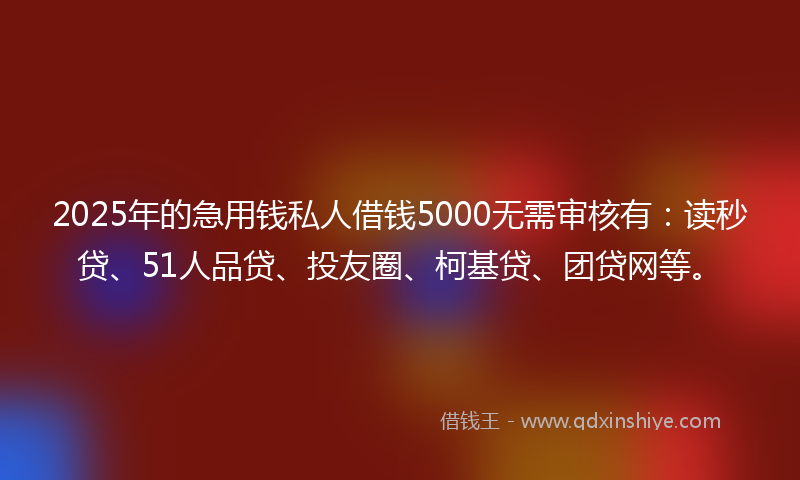 2025年的急用钱私人借钱5000无需审核有：读秒贷、51人品贷、投友圈、柯基贷、团贷网等。