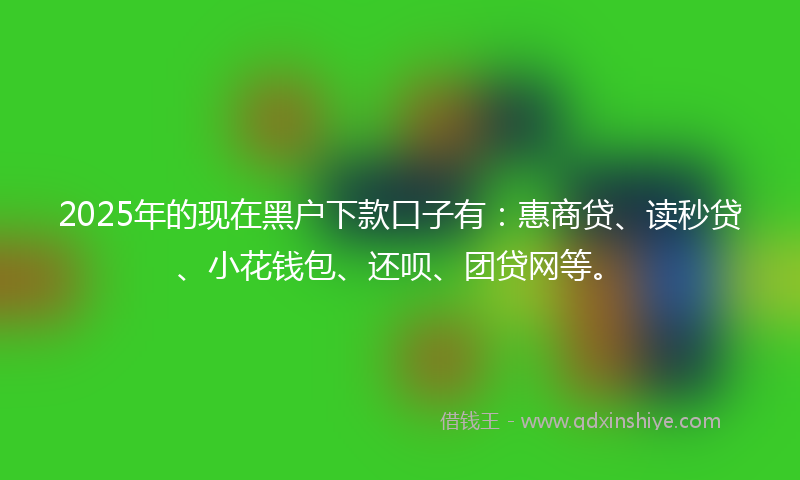 2025年的现在黑户下款口子有：惠商贷、读秒贷、小花钱包、还呗、团贷网等。