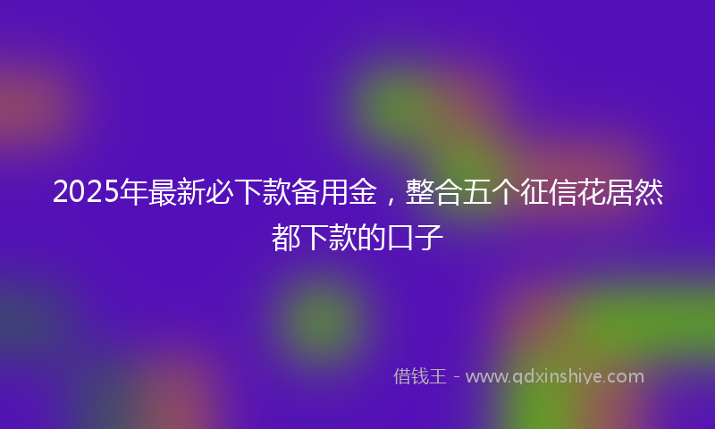 2025年最新必下款备用金，整合五个征信花居然都下款的口子