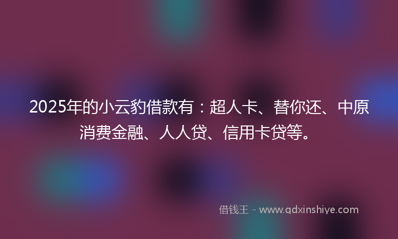 2025年的小云豹借款有：超人卡、替你还、中原消费金融、人人贷、信用卡贷等。