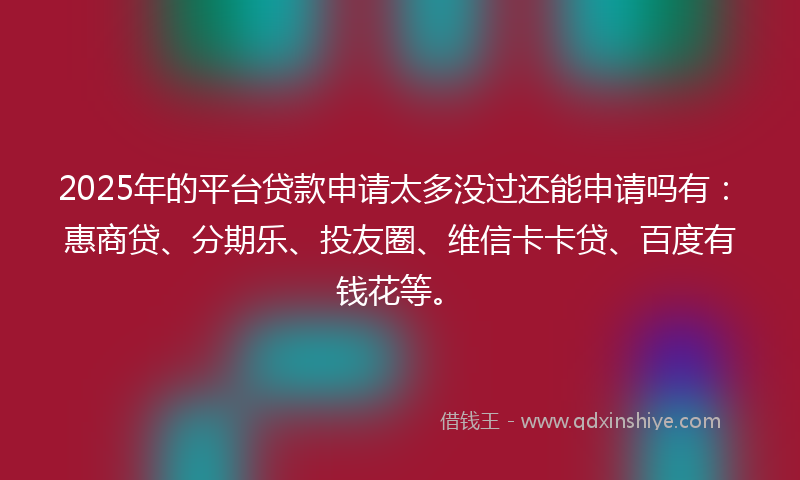 2025年的平台贷款申请太多没过还能申请吗有：惠商贷、分期乐、投友圈、维信卡卡贷、百度有钱花等。