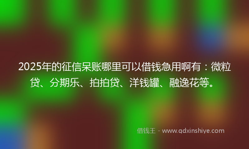 2025年的征信呆账哪里可以借钱急用啊有：微粒贷、分期乐、拍拍贷、洋钱罐、融逸花等。