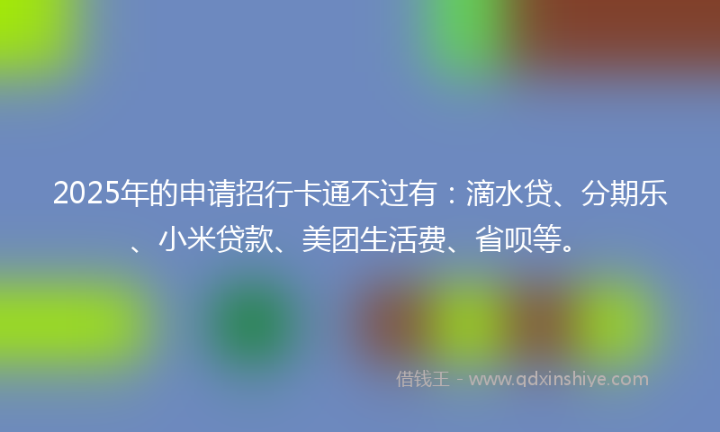 2025年的申请招行卡通不过有：滴水贷、分期乐、小米贷款、美团生活费、省呗等。
