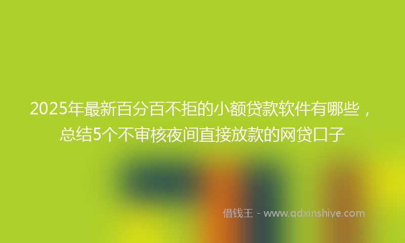 2025年最新百分百不拒的小额贷款软件有哪些，总结5个不审核夜间直接放款的网贷口子