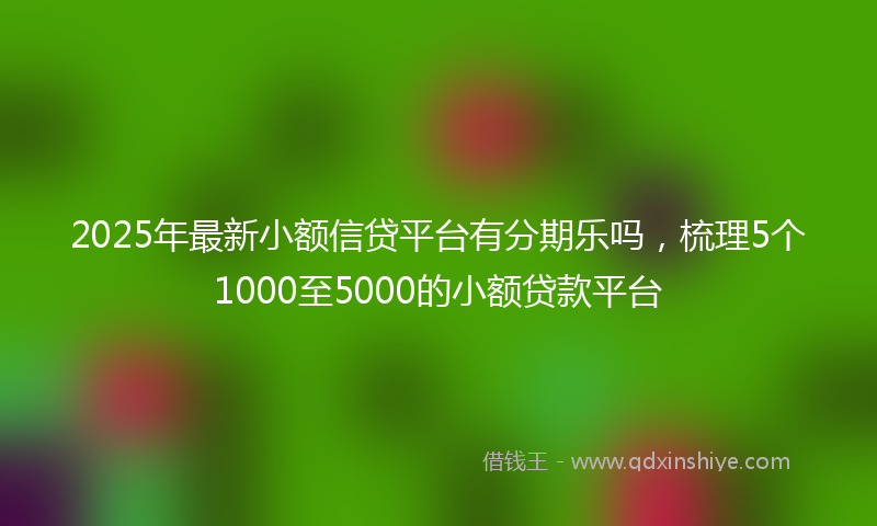 2025年最新小额信贷平台有分期乐吗，梳理5个1000至5000的小额贷款平台