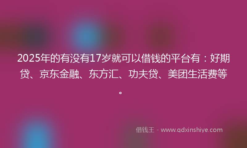 2025年的有没有17岁就可以借钱的平台有：好期贷、京东金融、东方汇、功夫贷、美团生活费等。
