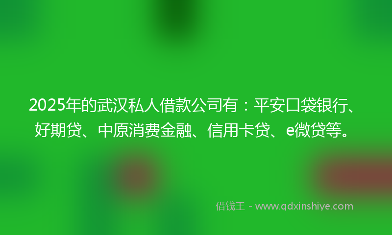 2025年的武汉私人借款公司有：平安口袋银行、好期贷、中原消费金融、信用卡贷、e微贷等。