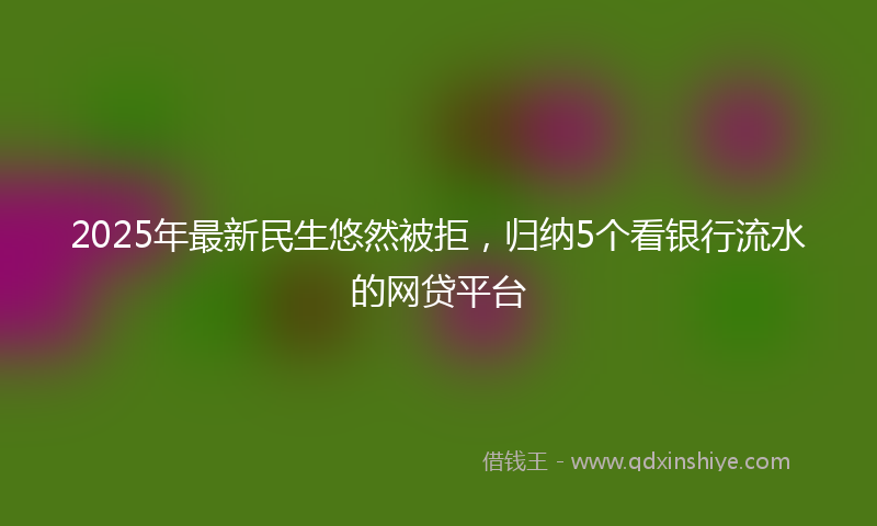 2025年最新民生悠然被拒，归纳5个看银行流水的网贷平台