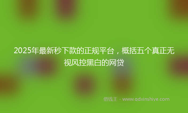 2025年最新秒下款的正规平台，概括五个真正无视风控黑白的网贷
