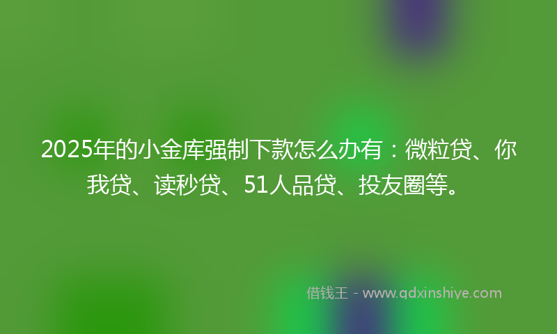 2025年的小金库强制下款怎么办有：微粒贷、你我贷、读秒贷、51人品贷、投友圈等。