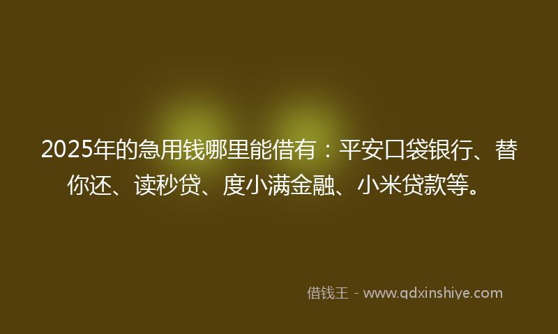 2025年的急用钱哪里能借有：平安口袋银行、替你还、读秒贷、度小满金融、小米贷款等。
