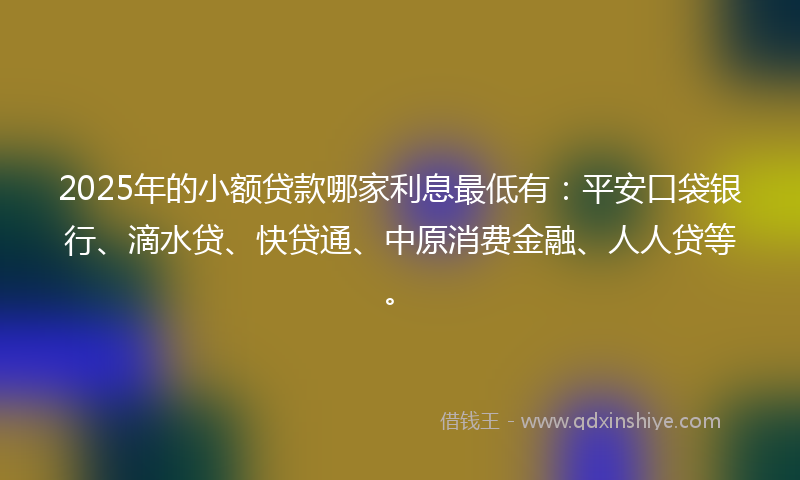 2025年的小额贷款哪家利息最低有：平安口袋银行、滴水贷、快贷通、中原消费金融、人人贷等。