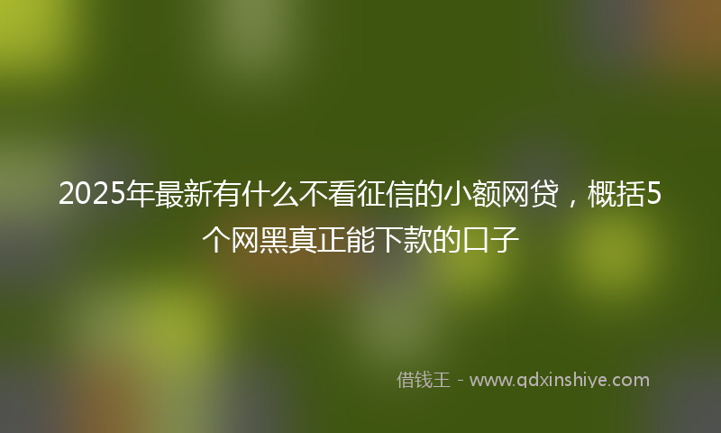 2025年最新有什么不看征信的小额网贷，概括5个网黑真正能下款的口子