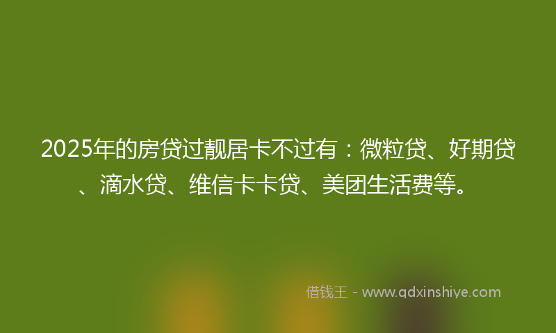 2025年的房贷过靓居卡不过有：微粒贷、好期贷、滴水贷、维信卡卡贷、美团生活费等。