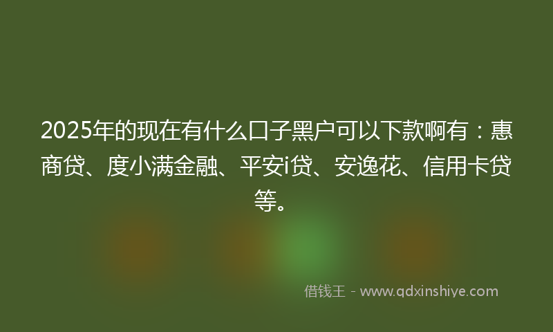 2025年的现在有什么口子黑户可以下款啊有：惠商贷、度小满金融、平安i贷、安逸花、信用卡贷等。