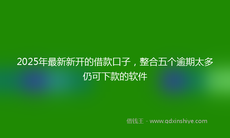 2025年最新新开的借款口子，整合五个逾期太多仍可下款的软件
