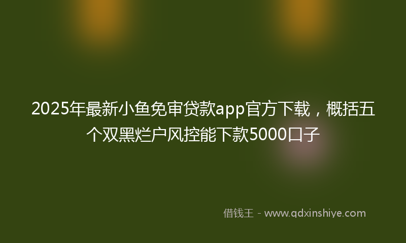 2025年最新小鱼免审贷款app官方下载，概括五个双黑烂户风控能下款5000口子
