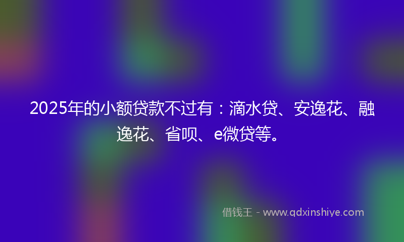 2025年的小额贷款不过有：滴水贷、安逸花、融逸花、省呗、e微贷等。