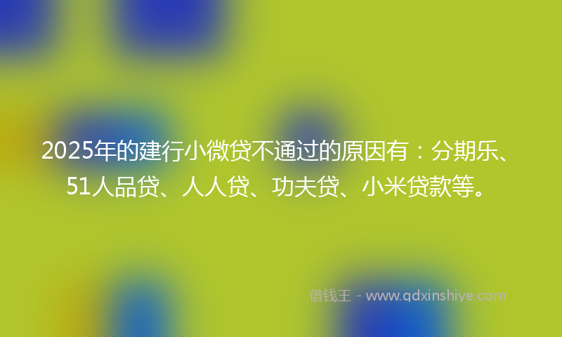 2025年的建行小微贷不通过的原因有：分期乐、51人品贷、人人贷、功夫贷、小米贷款等。