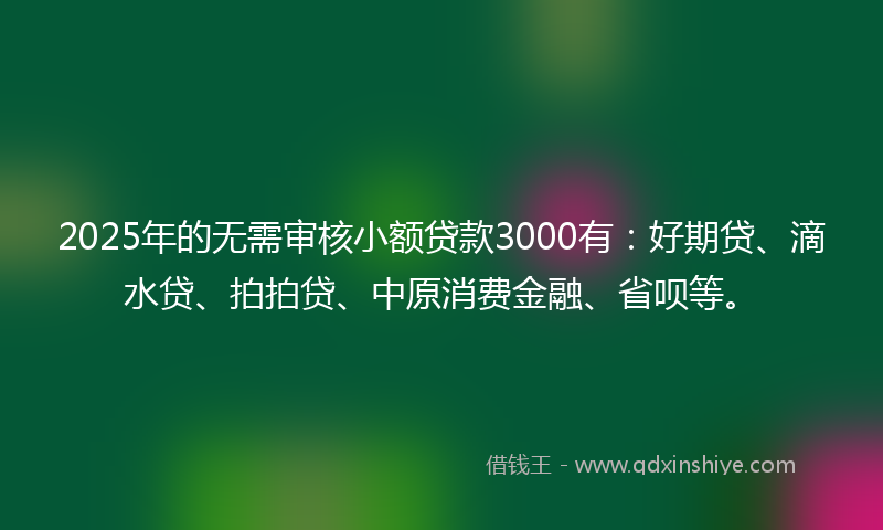2025年的无需审核小额贷款3000有：好期贷、滴水贷、拍拍贷、中原消费金融、省呗等。