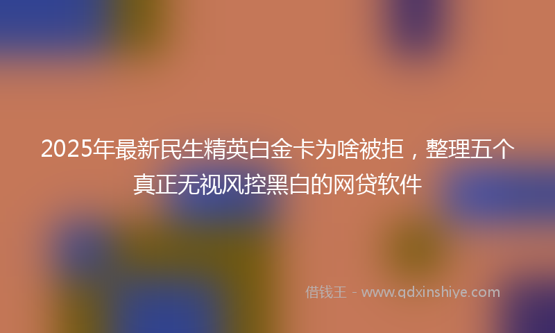 2025年最新民生精英白金卡为啥被拒，整理五个真正无视风控黑白的网贷软件