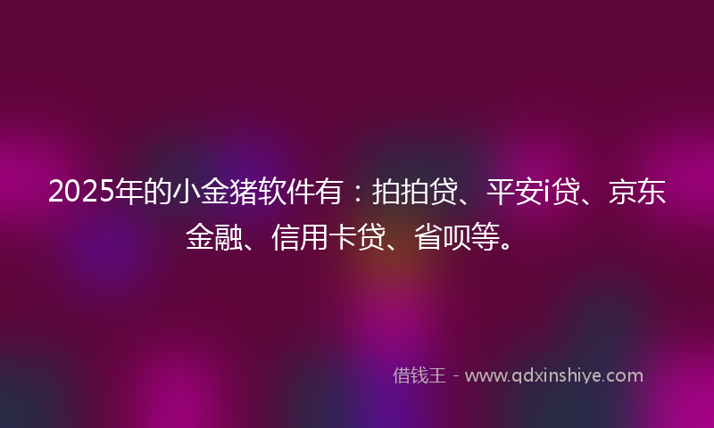 2025年的小金猪软件有：拍拍贷、平安i贷、京东金融、信用卡贷、省呗等。