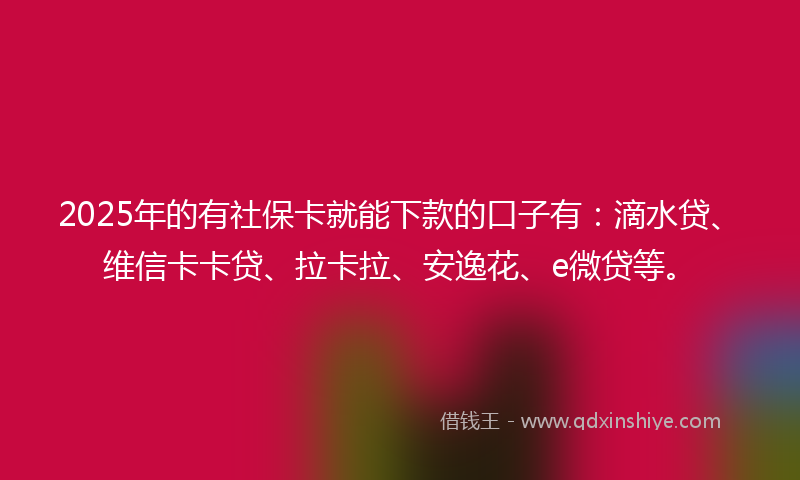 2025年的有社保卡就能下款的口子有：滴水贷、维信卡卡贷、拉卡拉、安逸花、e微贷等。