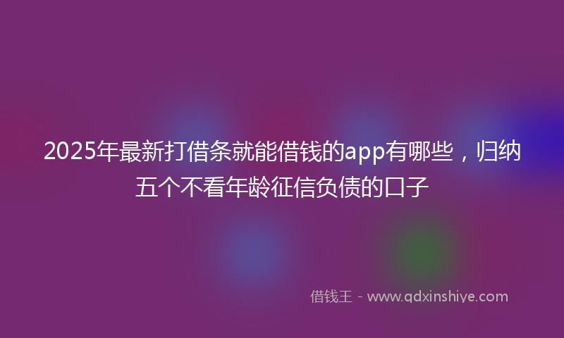 2025年最新打借条就能借钱的app有哪些，归纳五个不看年龄征信负债的口子