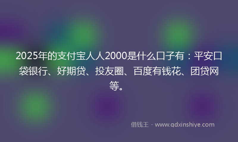 2025年的支付宝人人2000是什么口子有：平安口袋银行、好期贷、投友圈、百度有钱花、团贷网等。