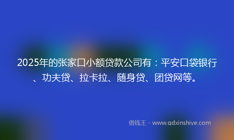 2025年的张家口小额贷款公司有：平安口袋银行、功夫贷、拉卡拉、随身贷、团贷网等。
